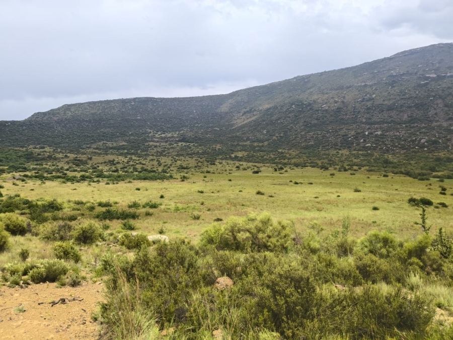 0 Bedroom Property for Sale in Jamestown Eastern Cape